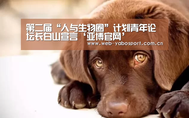 亚博体育官网